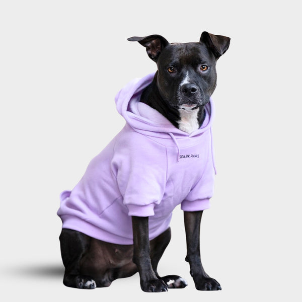 Maglione Essenziale per Cani - Orchidea