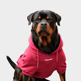 Maglione Essenziale per Cani - Bordeaux