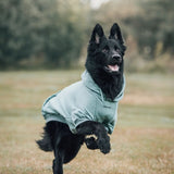 Maglione Essenziale per Cani - Turchese