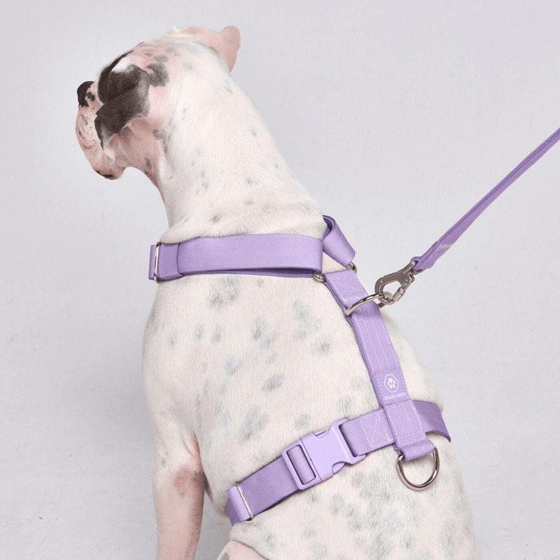 Lilac Harness