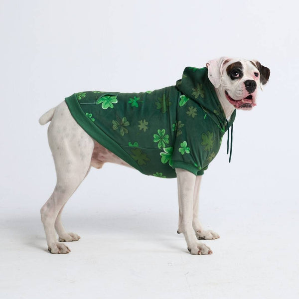 Felpa con cappuccio per cani St. Patty's - Verde scuro