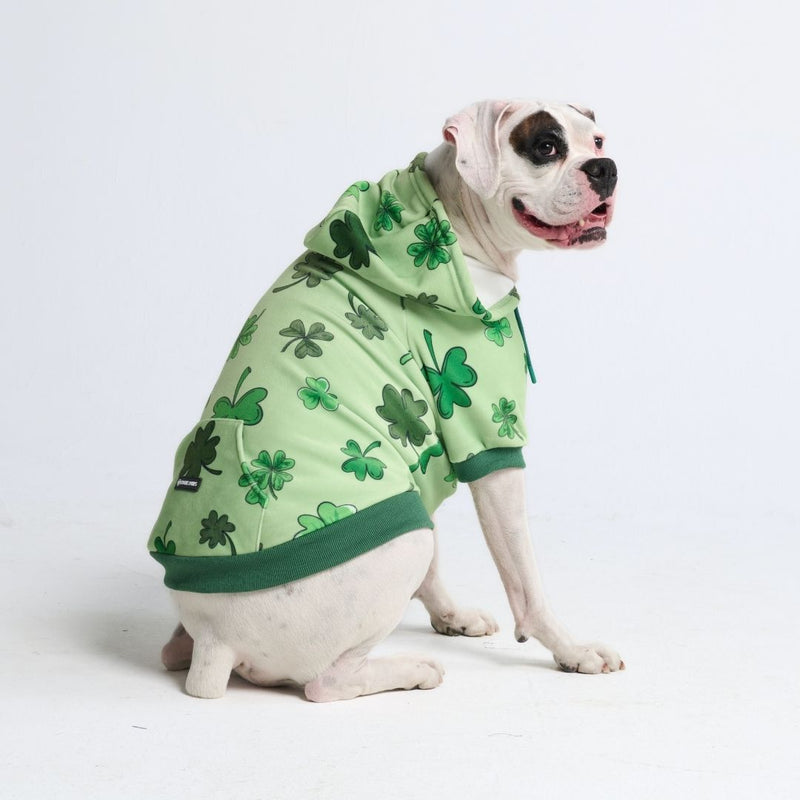 Felpa con cappuccio per cani St. Patty's - Verde chiaro