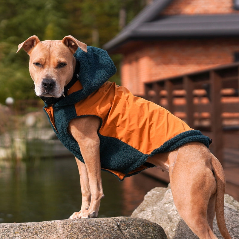 Green and Orange Reversible Jacket