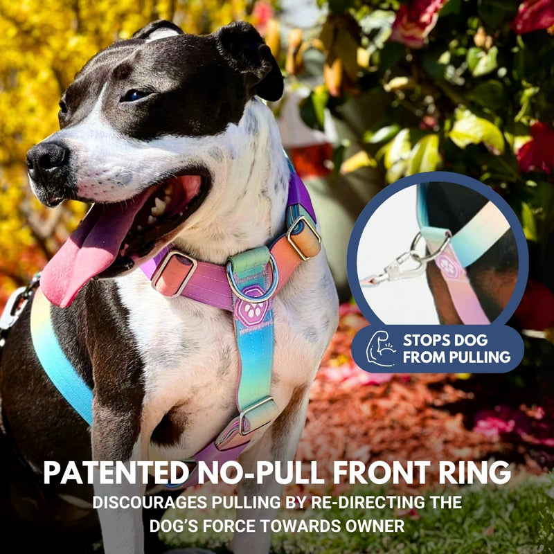 Set di imbracatura per cani Comfort Control No-Pull - Glassa pastello