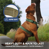 Set di imbracatura per cani Comfort Control No-Pull - Verde Militare