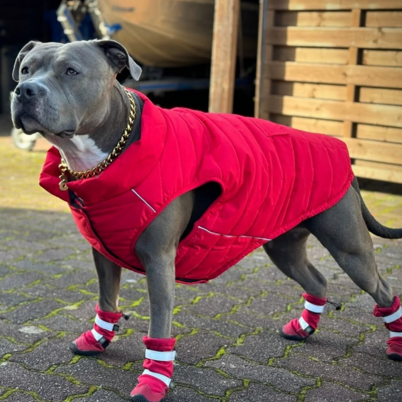 Stivali per cani resistenti all'acqua con struttura flessibile - Rosso