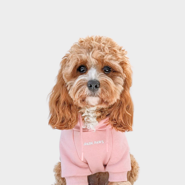 Maglione Essenziale per Cani - Rosa Antico