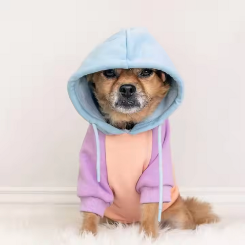 Maglione per Cani - Zucchero filato