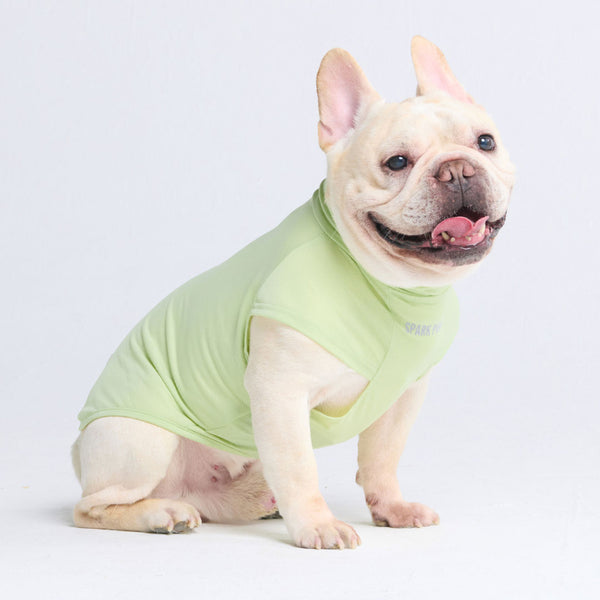 Maglietta per cani con protezione solare - Verde chiaro