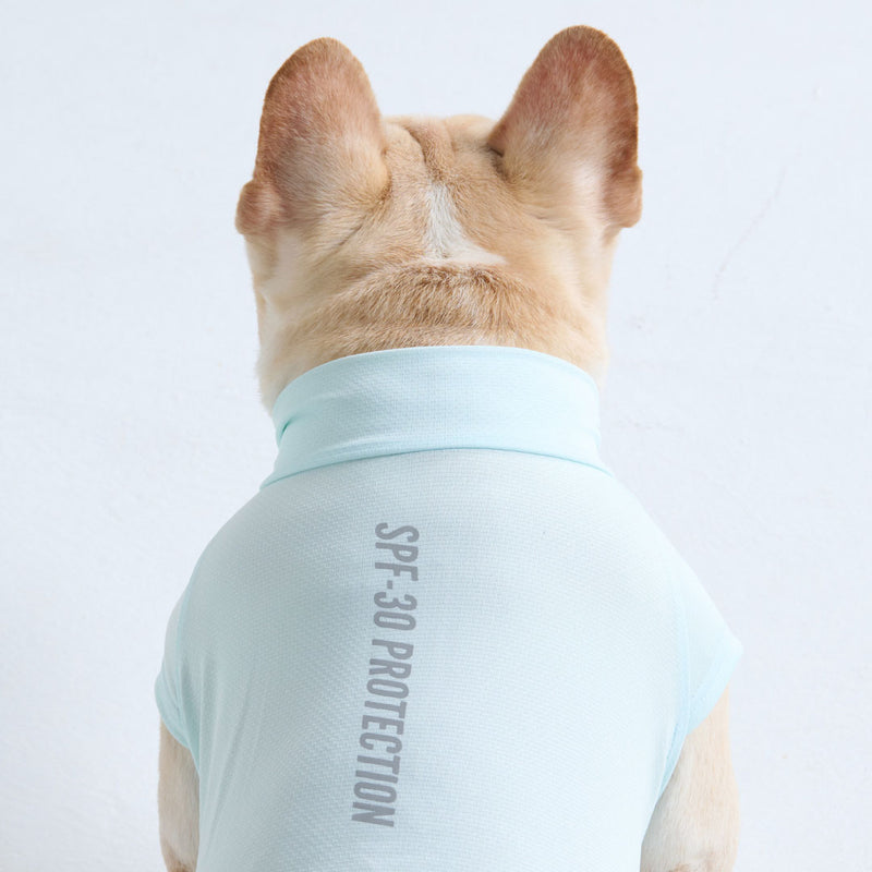 Maglietta per cani con protezione solare - Azzurro