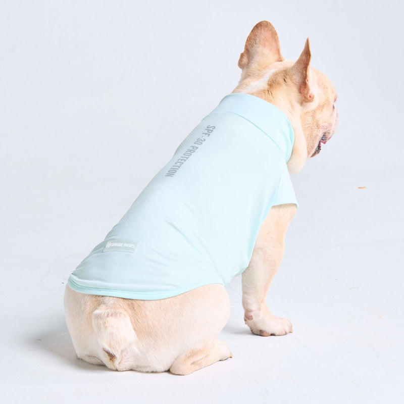 Maglietta per cani con protezione solare - Azzurro