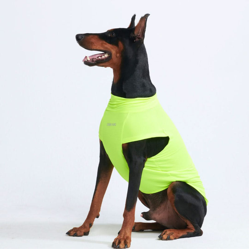 Maglietta per cani Sunblock - Neon