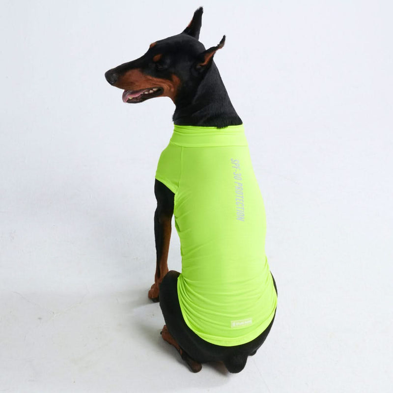 Maglietta per cani Sunblock - Neon